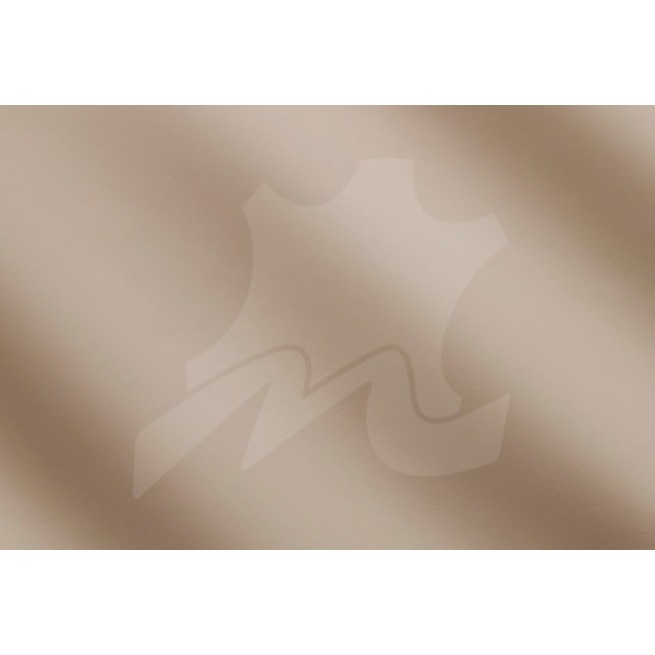 Aligo Group фото